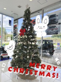 クリスマスツリーがお目見え！✨